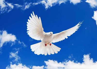 Der Qur�n �ber die Vorz�ge des Tasb�h